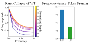 Frequency-Aware Token Reduction